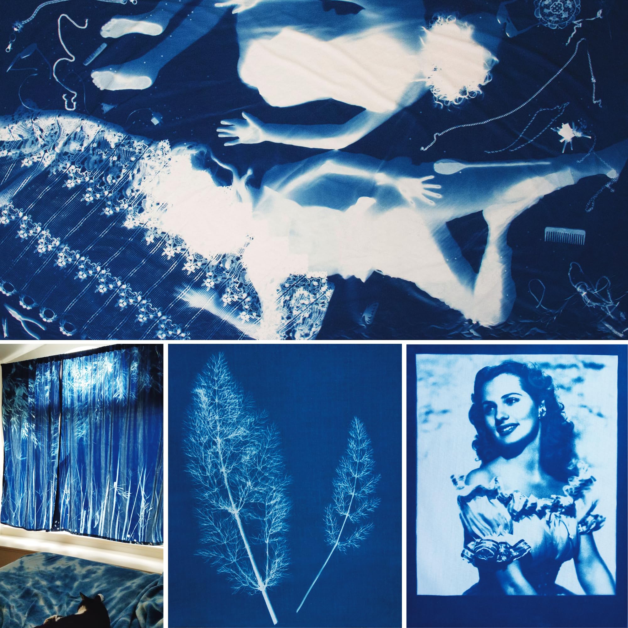 Jacquard Cyanotype Kit for Sun Prints - Complete Sun Printing Kit with Pre-Measured Cyanotype Chemicals, Fine Art Cyanotype Paper, Glass Frame & Accessories - Image 4