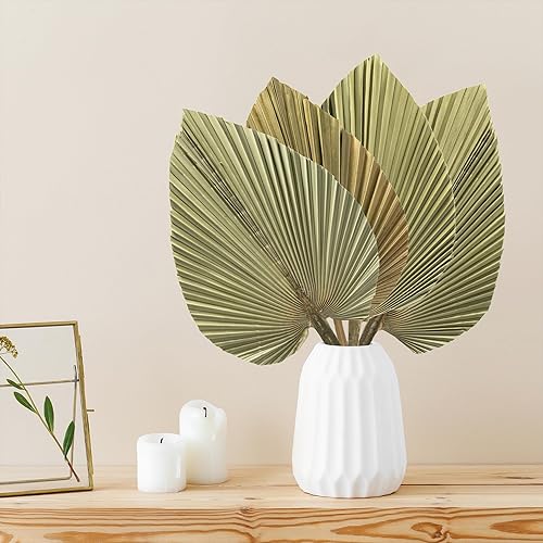4 hojas de palma secas recortadas naturales grandes de 17 x 10 pulgadas, lanza de palma seca real para estética, decoración de boda bohemia,