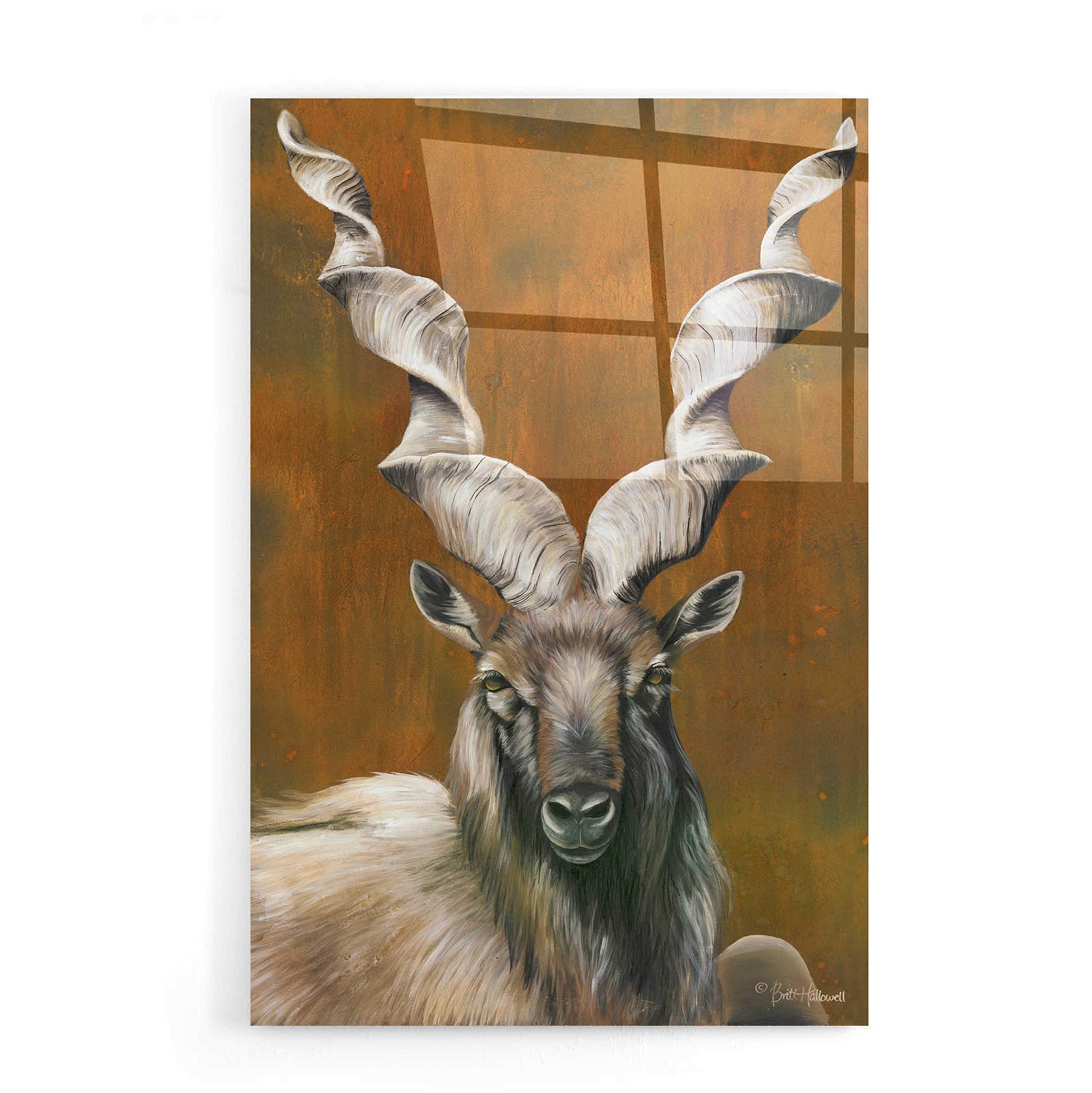 Epic Art 'Mighty Markhor' by Britt Hallowell, Acrylic Glass Wall Art, 16"x24"