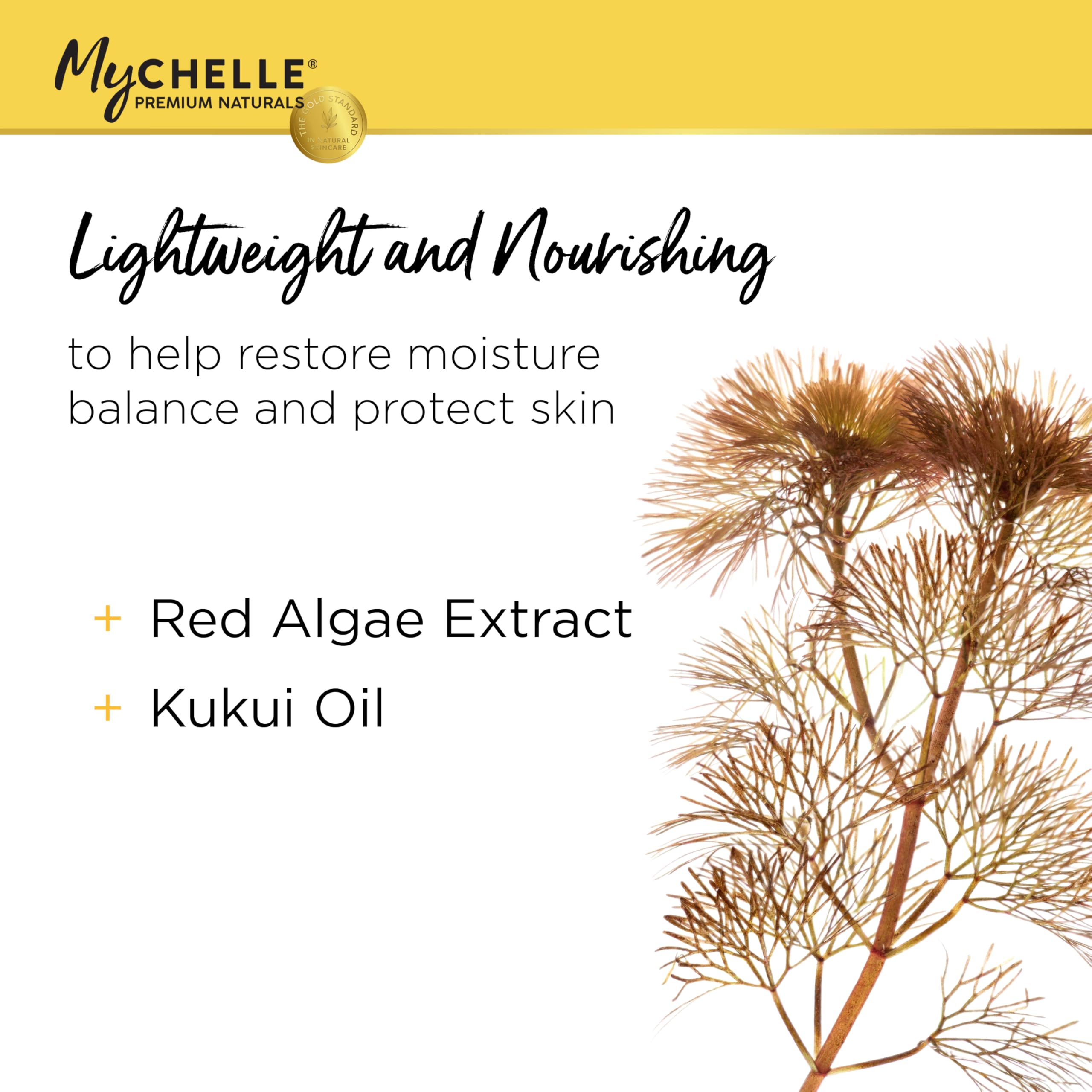MyChelle Crema protezione solare SPF 30 dermaceutica, punto 6, 2,3 once (68 ml)