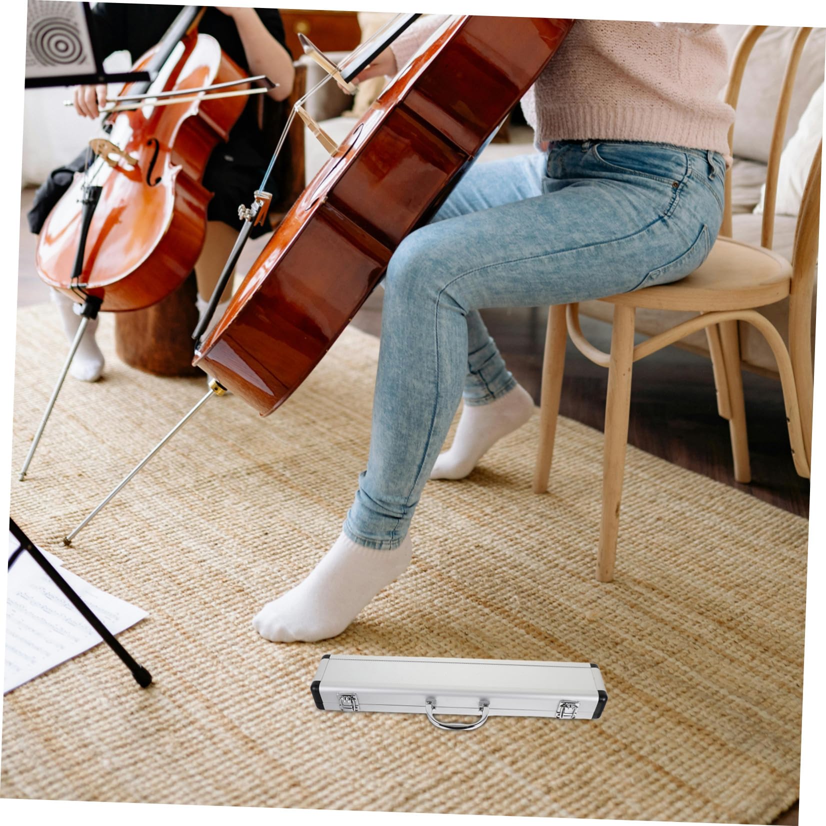 Custodia Rigida per Flauto in Lega di Alluminio con Imbottitura Antiurto e Tecnologia Anti-umidità, Borsa Portatile con Maniglia per Flauto C/d, Custodia da Viaggio per Strumenti