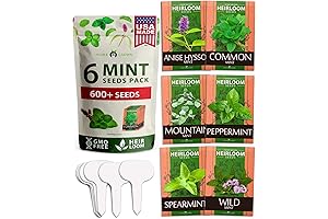 Inside Plant Lover's Delight: Thriving Peppermint Plants for Indoor Flourishing