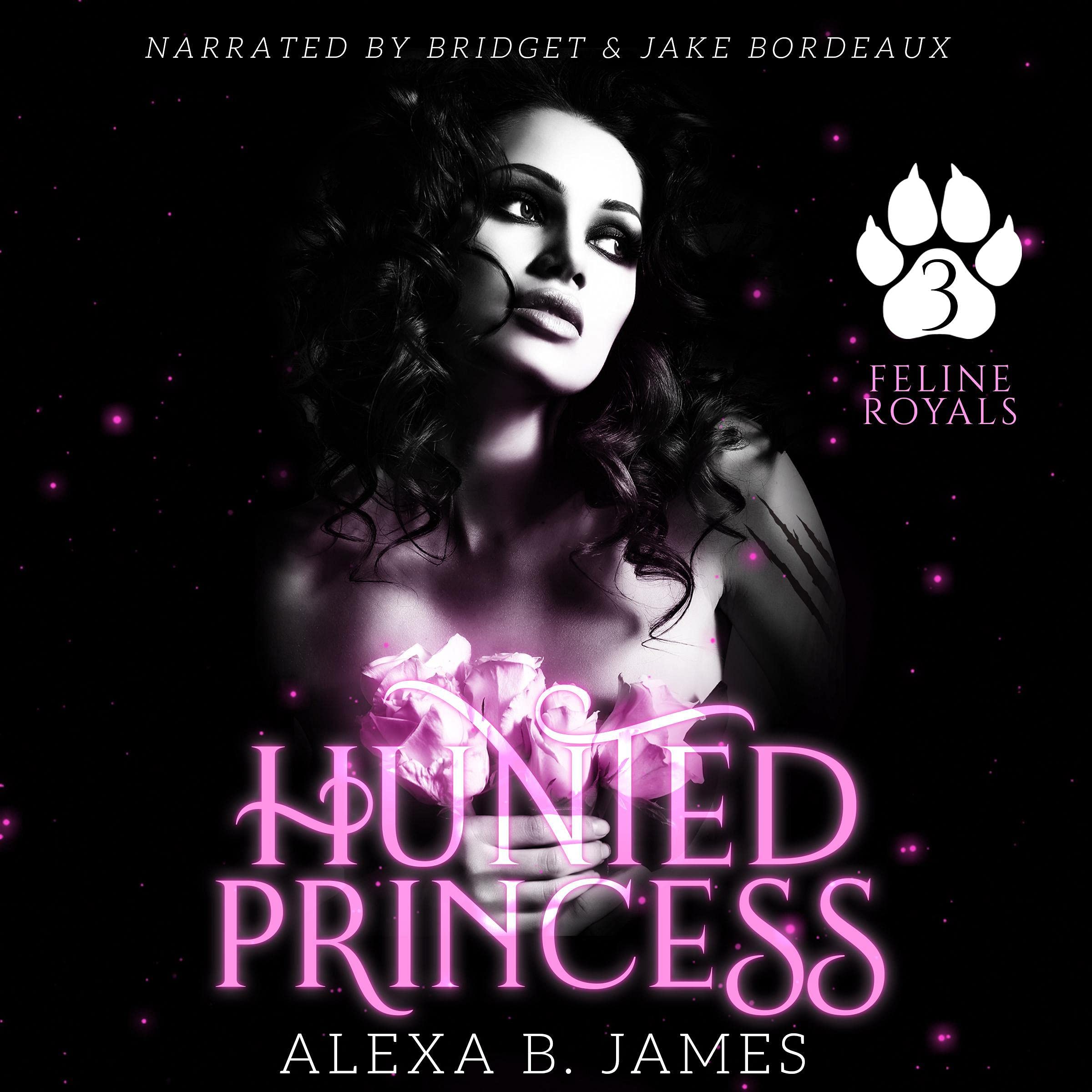 Cover art for Hunted Princess