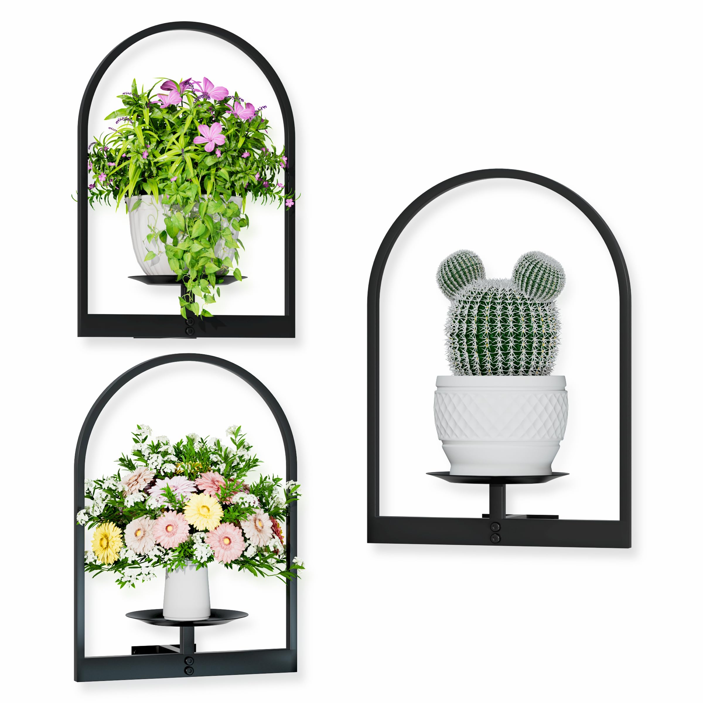 BUTUNITA Black Metal Wall Plant Holder - 3-Pack Wall Mounted Plant Stands and Hanging Holders for Indoor Planter and Flower Pot - Arch Decor Shelf for