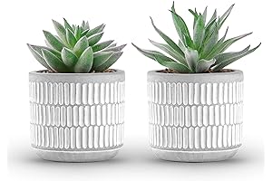 Der Rose Set of 2 Small Plants Artificial Fake Plants