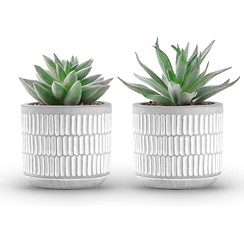 Der Rose Set of 2 Succulents Plants Artificial Fake Plants for Living Room Bathroom Bedroom Aesthetic Home Shelf Decor