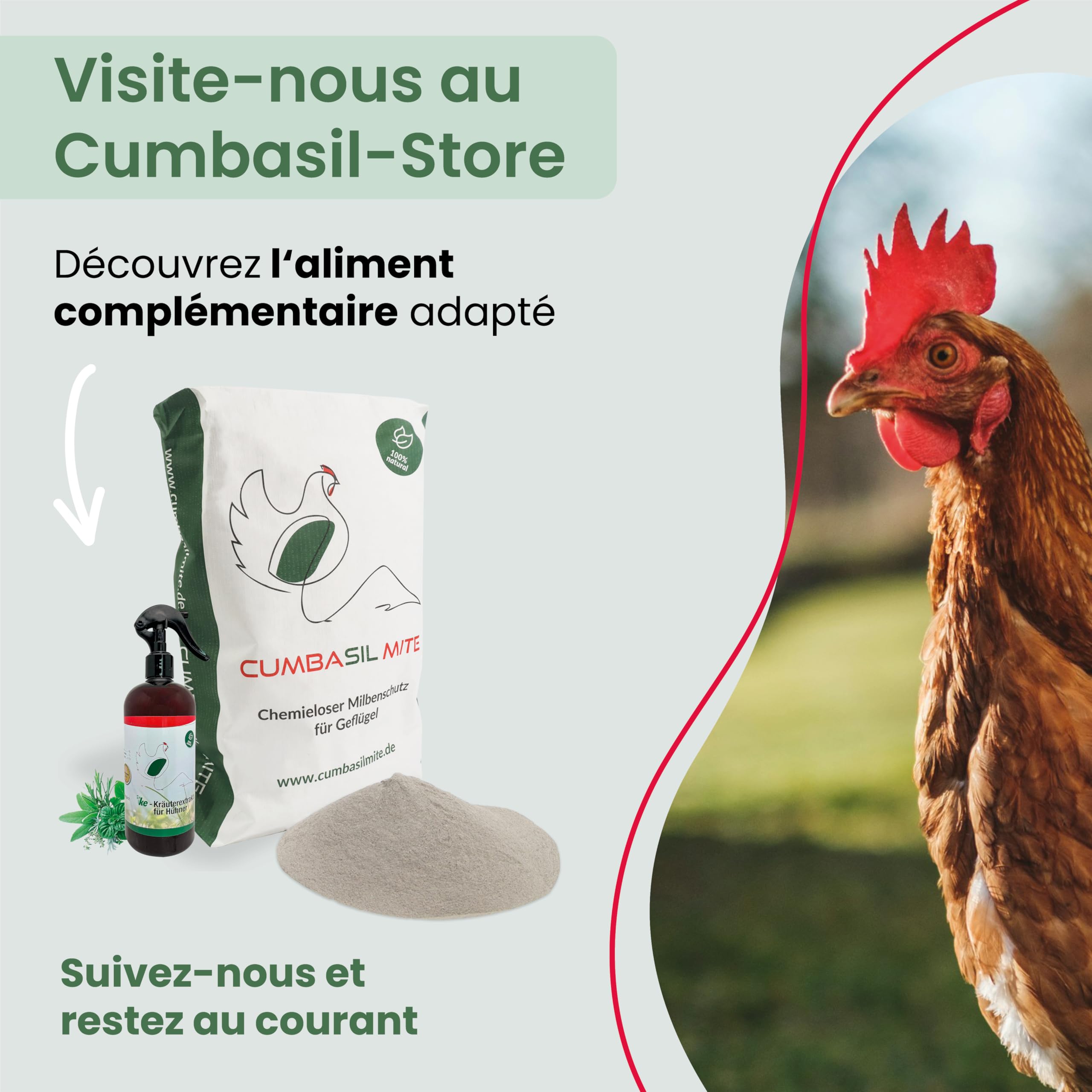 Mite bain de poussière pour poules 25kg, poudre contre les acariens, bain de sable, protection 100% naturelle contre les acariens, poudre contre les acariens, produit contre les acariens