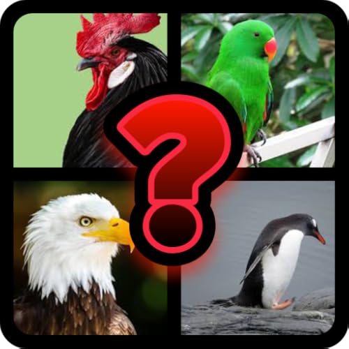 Guess Bird Name