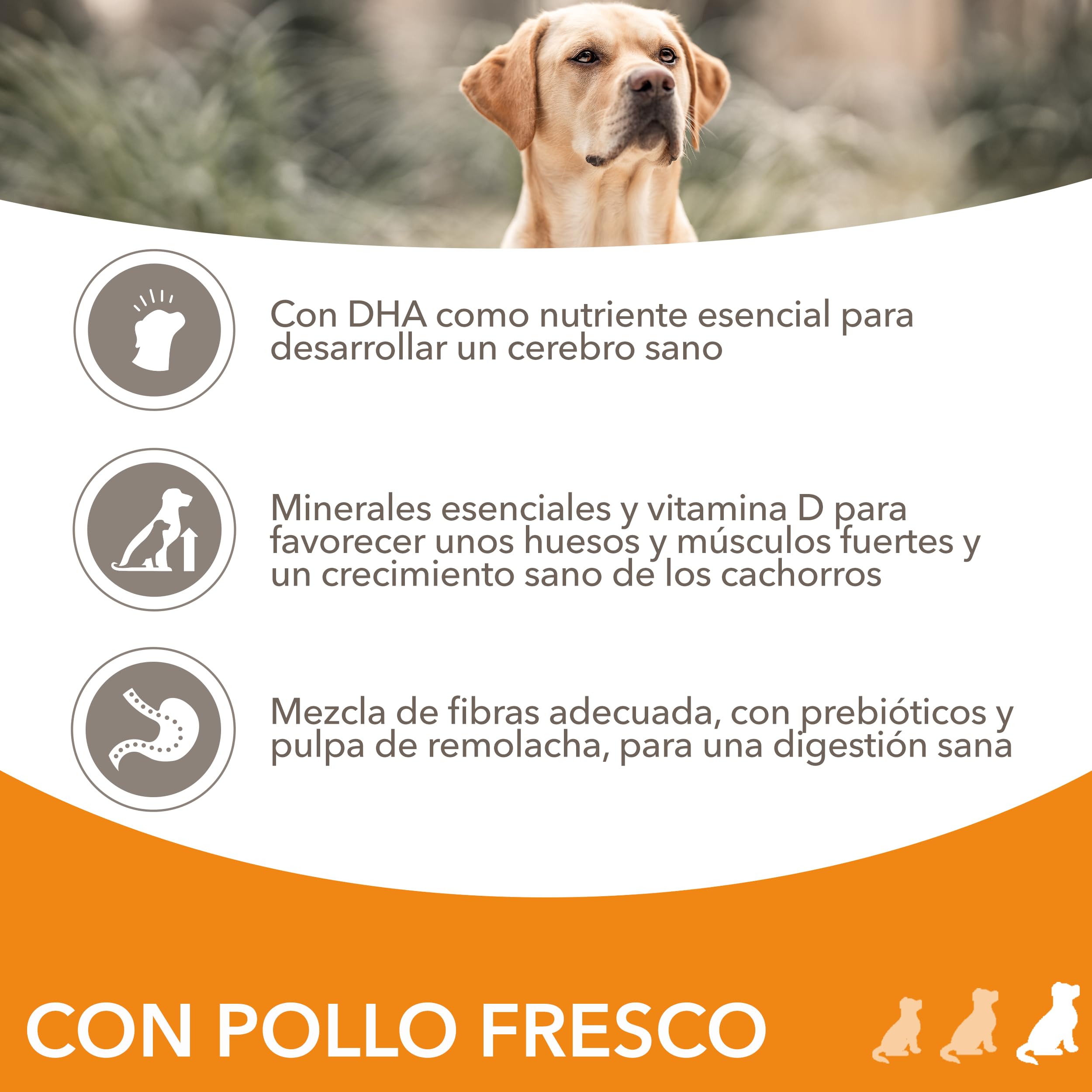 IAMS Alimento Seco para Cachorros de Razas Grandes, Pollo, 12kg