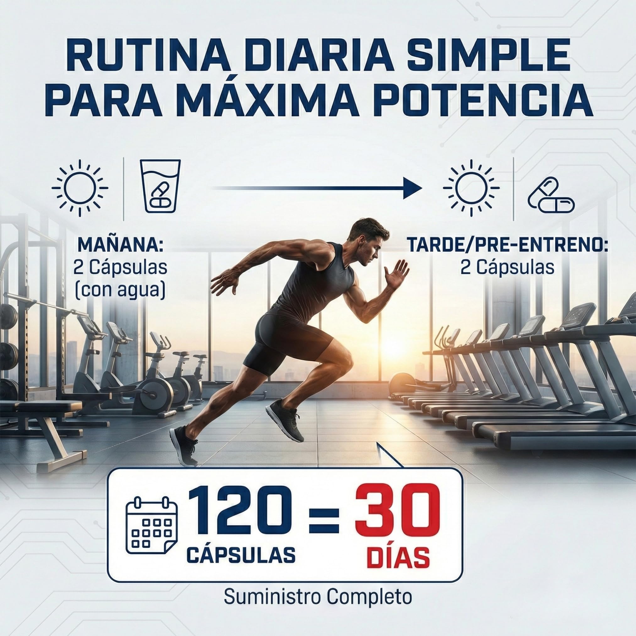 Fortia Tribulus T-1600 | Testosterona Natural y Rendimiento Masculino | Tribulus Terrestris + Arginina + NAC | Energía, Fuerza y Recuperación | 120 Cápsulas