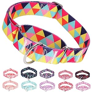 Wide Martingale Dog Collar - Heavy-Duty Escape-Proof Training Collar for Medium, Large & XL Dogs | Big & Thick No Pull Adjustable Design (Colored Triangle XL)