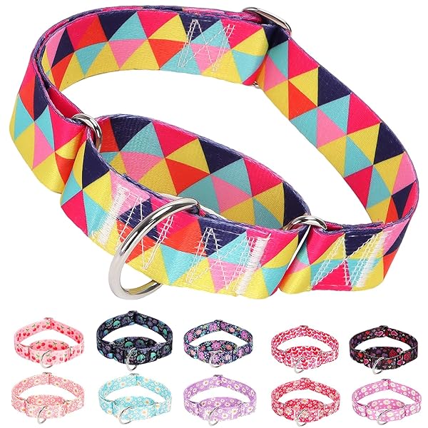 Wide Martingale Dog Collar - Heavy-Duty Escape-Proof Training Collar for Medium, Large & XL Dogs | Big & Thick No Pull Adjustable Design (Colored Triangle XL)