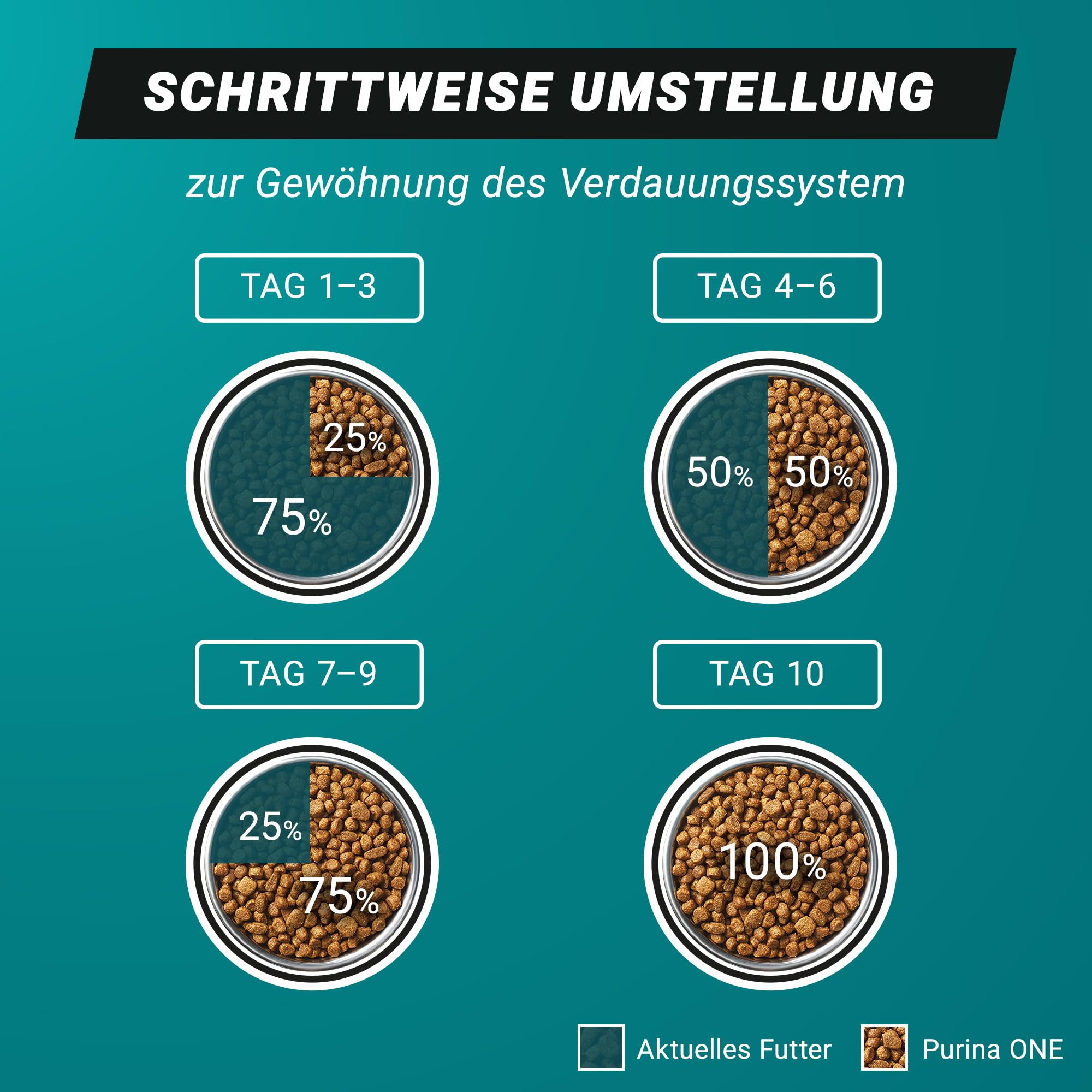 PURINA ONE High Protein, Katzenfutter trocken, reich an Lachs, 6 x 900g | Katzenfutter trocken
