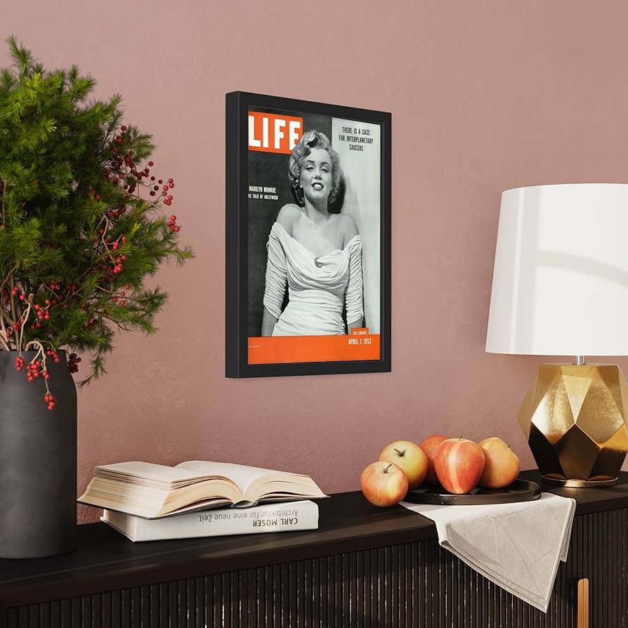 【新品未使用】FRAMA 写真集　アートブック　インテリア 新品未使用】FRAMA 写真集 アートブック インテリア