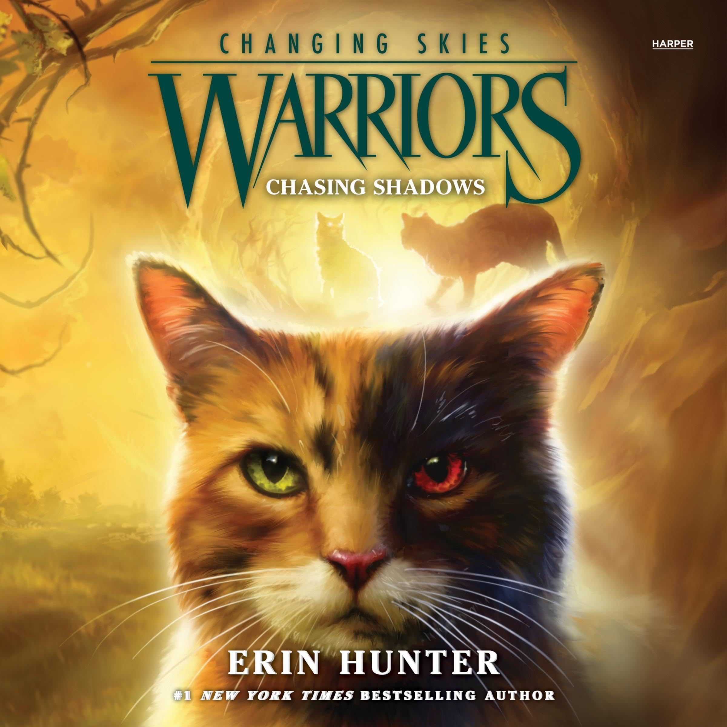 Cover art for Warriors: Changing Skies #3: Chasing Shadows