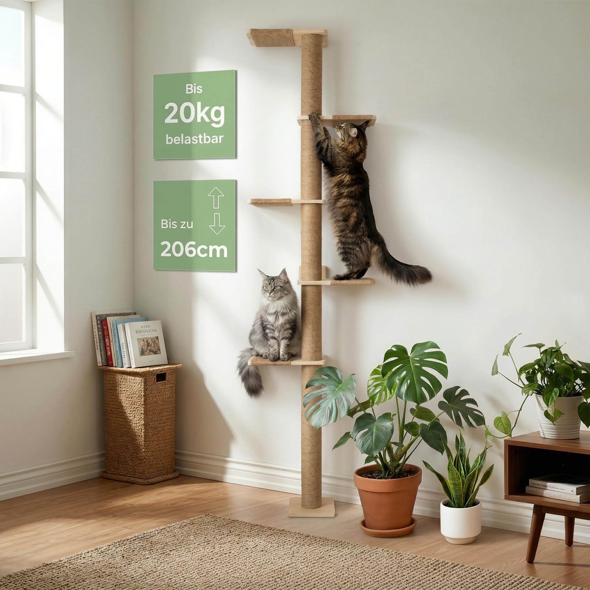 WOOWOOD Wandkratzbaum - Höhe Anpassbar bis 206 cm - Kratzbaum Deckenspanner, Kratzbaum Deckenhoch aus Naturholz, Wandkratzbaum, Katzen Wandelemente für Kletterwand Katzen, Katzenleiter