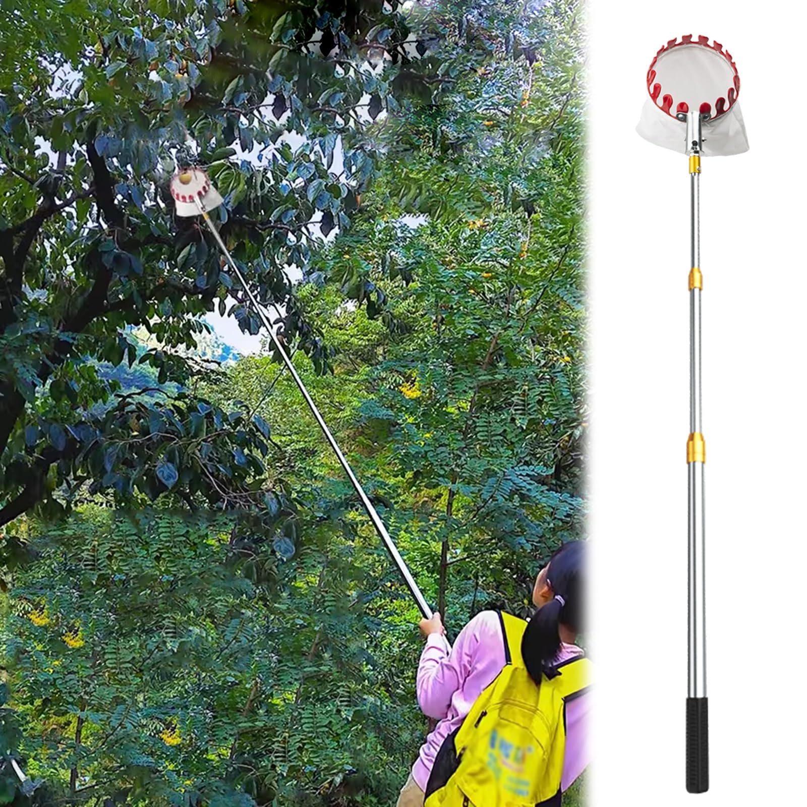 bastone raccogli frutta telescopico Palo raccoglifrutta con cestello telescopico, 2 3 4 5 6 7 10 M Strumento di raccolta della frutta extra lungo per frutteti/fattorie, mele, arance, avocado(5m/16.4ft