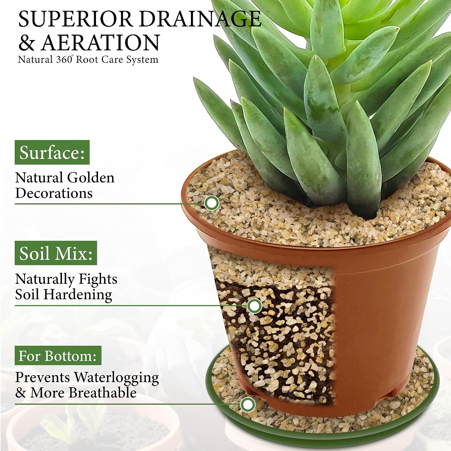 8LB 1-2mm Horticultural Sand for Succulents and Cactus Soil