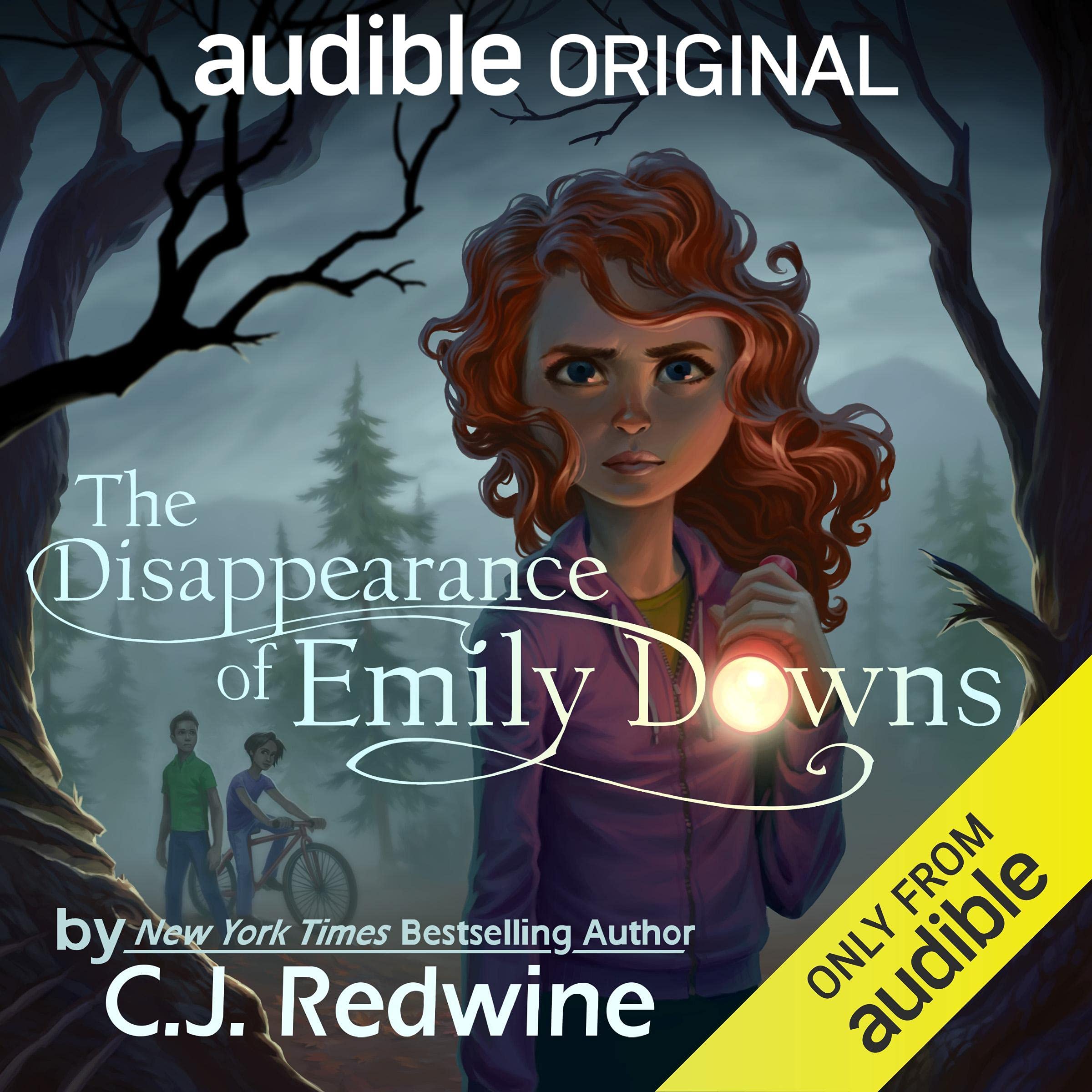 The Disappearance of Emily Downs