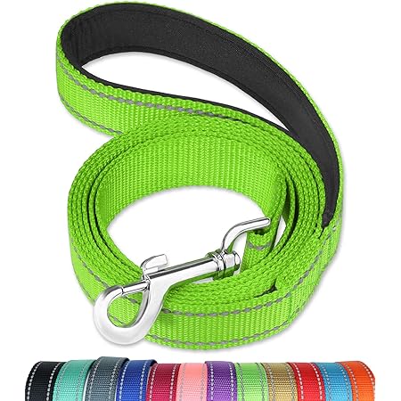 FunTags 6FT Reflective Dog Leash with Soft Padded Handle for Training,Walking Lead for Large & Medium Dog,1 Inch Wide,Green
