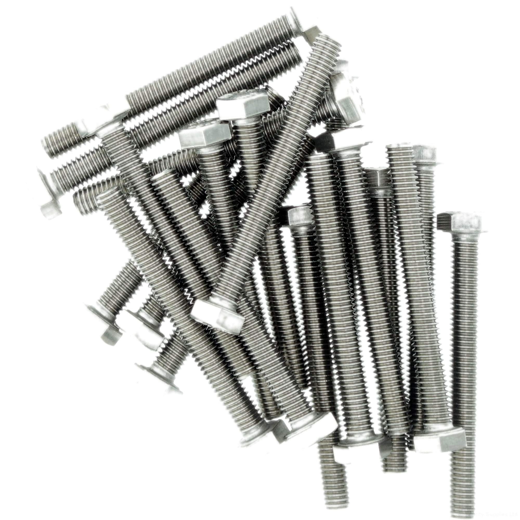 Singularity Supplies M6 (6Mm X 55Mm) Hex Bolt (Fully Threaded Setscrew) - Stainless Steel (A2) (Pack Of 20)