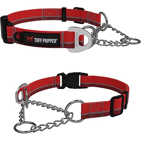 martingale training collar