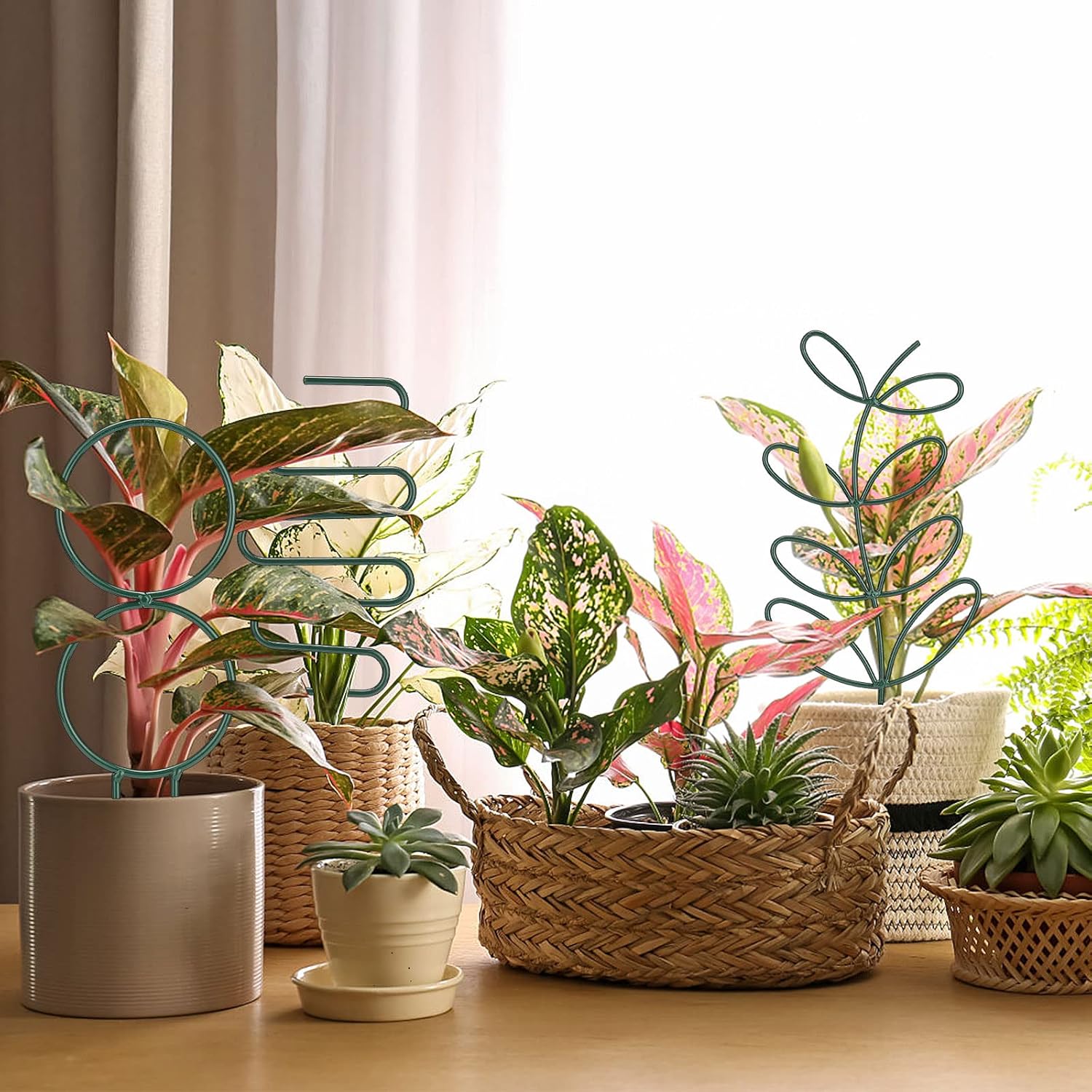 Trellis for Climbing Plants,Indoor Outdoor CDQL 6Pcs Metal Potted Plant Support Stackable Small Trellis for House Plants Climbing Plant Stake Plant Accessories