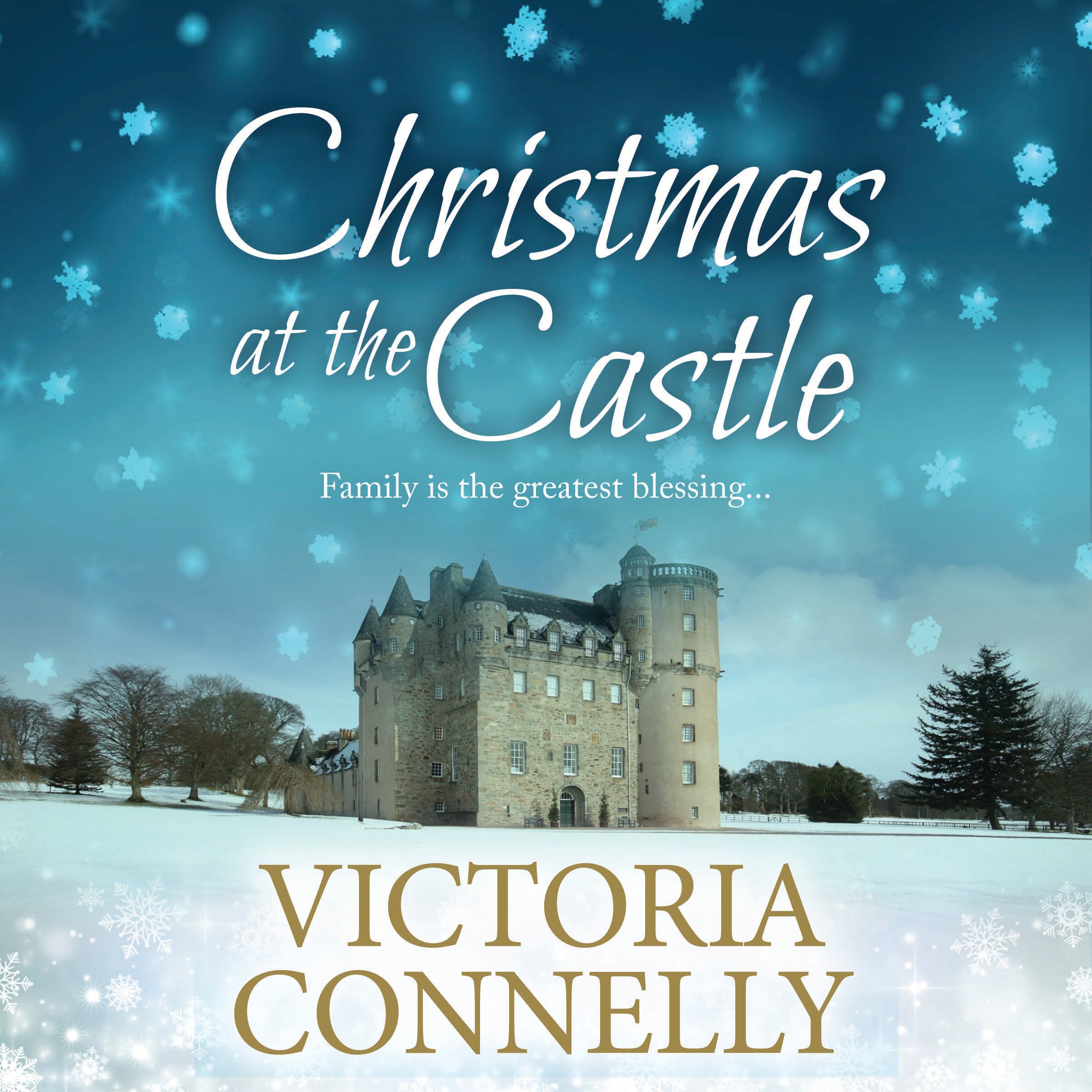 Cover art for Christmas at the Castle