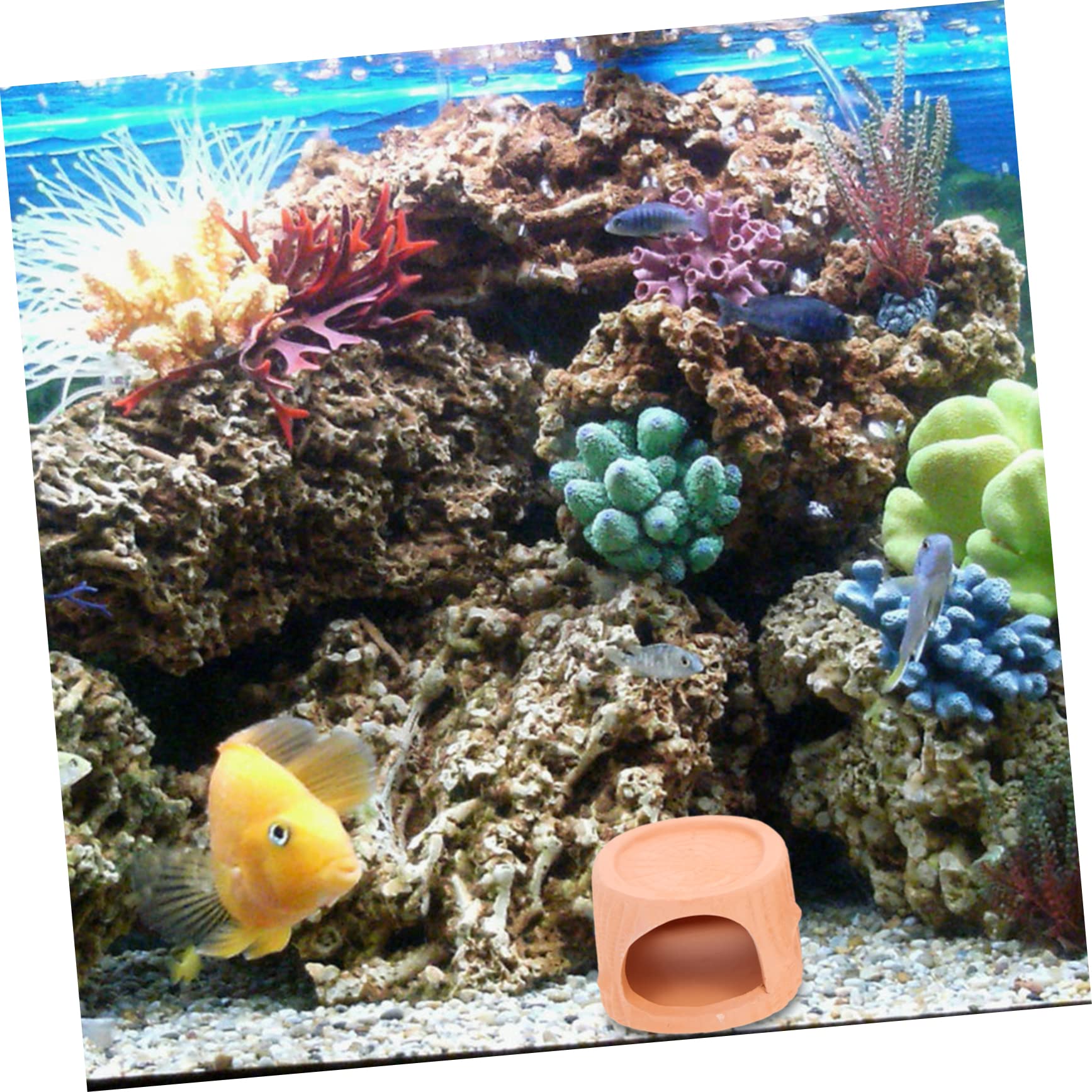 Sosoport 5 Sätze Garnelennest Garnelendosen Aquarienversteckfelsen Zubehör Für Aquarien Fischversteck Keramik Fischhöhle Schleichtiere Kleines Aquarium Aquarienlandschaftsdekore 2 Stück * 5