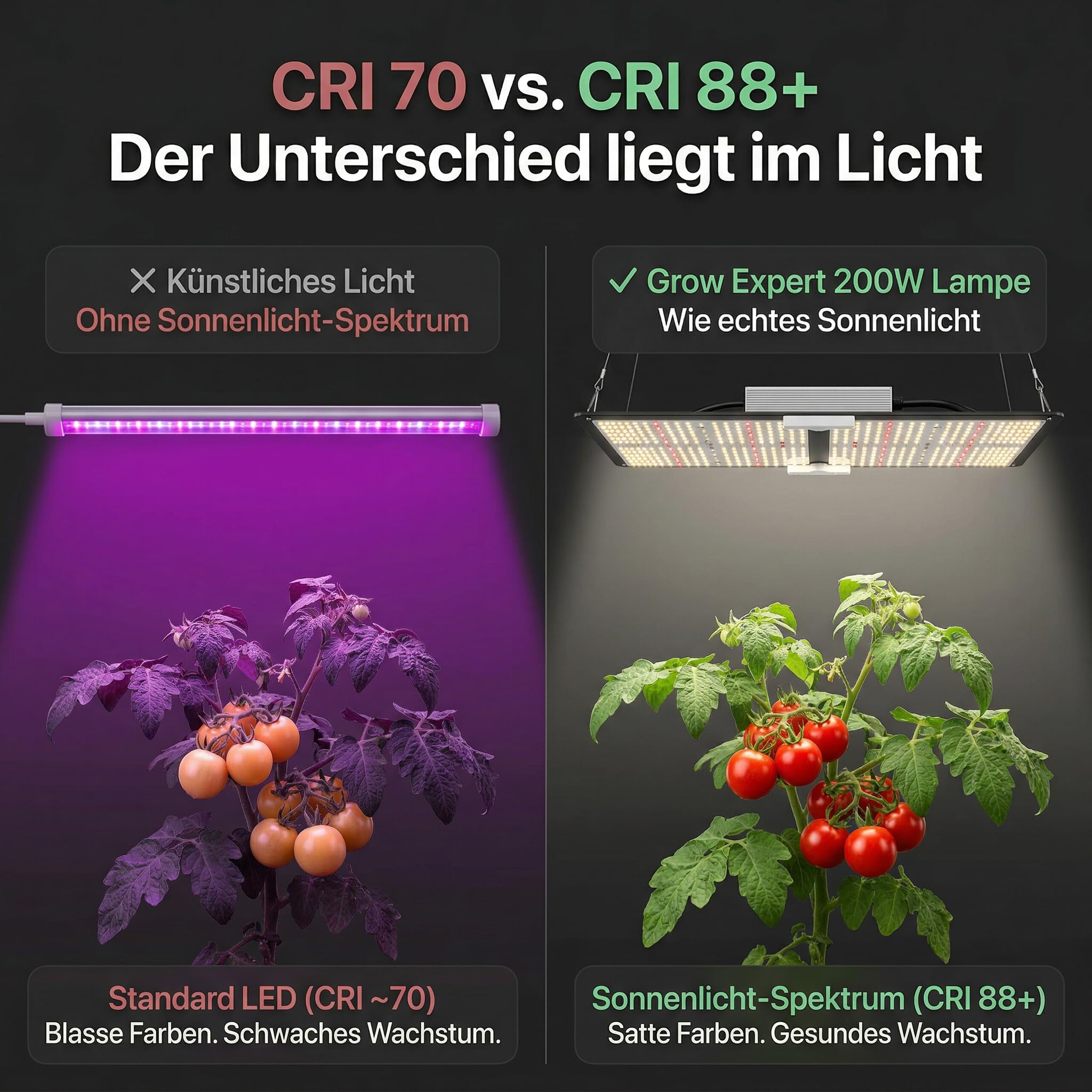 LED Grow Lampe 200W – 60 cm x 30 cm – Sonnenähnliche Pflanzenlampe mit Samsung LM301D LEDs – Vollspektrum 660 nm Rotlicht & 730 nm Far Red – Grow Light dimmbar, leise & hocheffizient für Indoor Grow