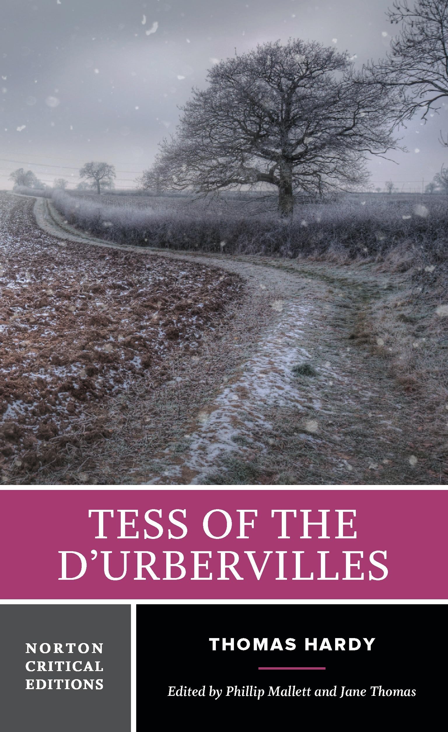 Tess of the dUrbervilles: A Norton Critical Ed. Hardy, Mallett, Thomas**