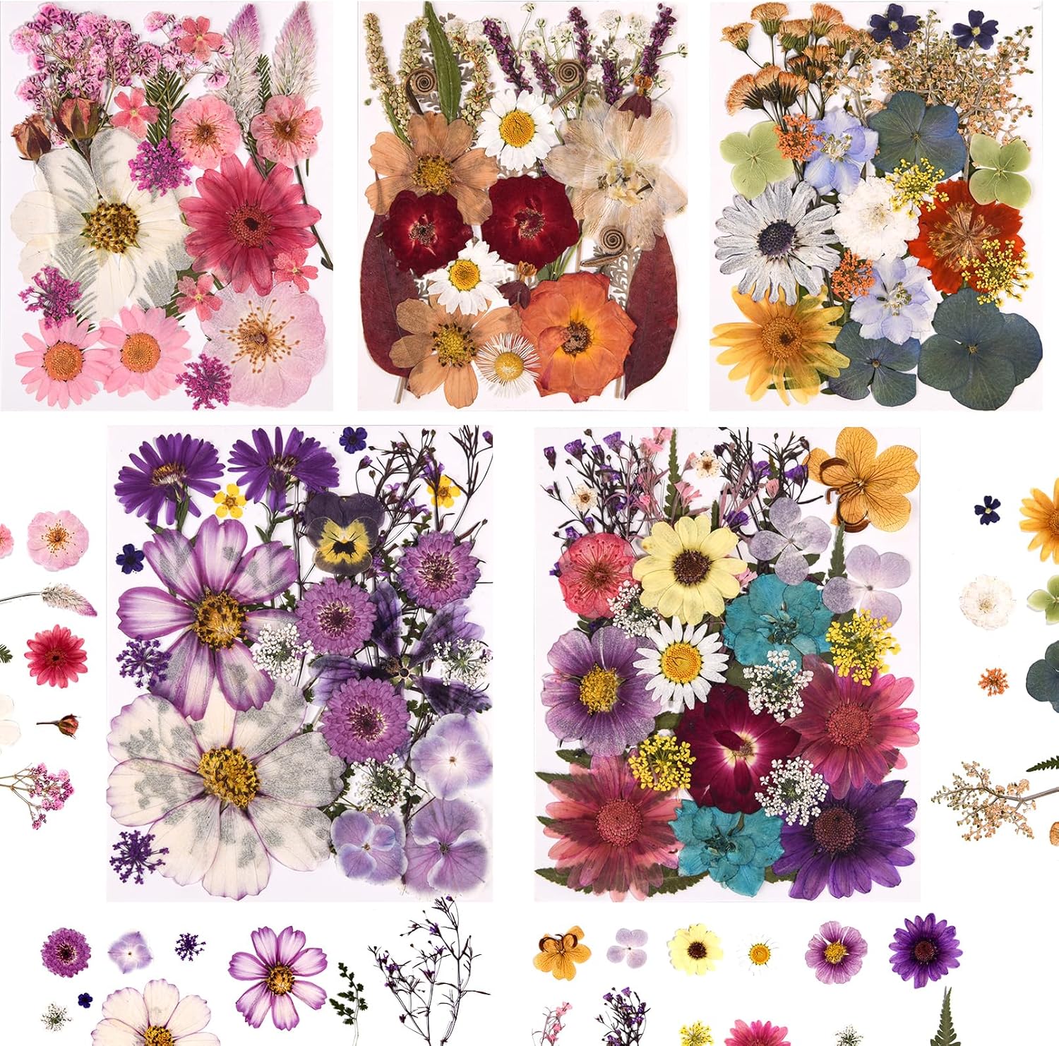 Set de 5 paquetes de flores secas prensadas naturales con pinzas para manualidades miniatura 1
