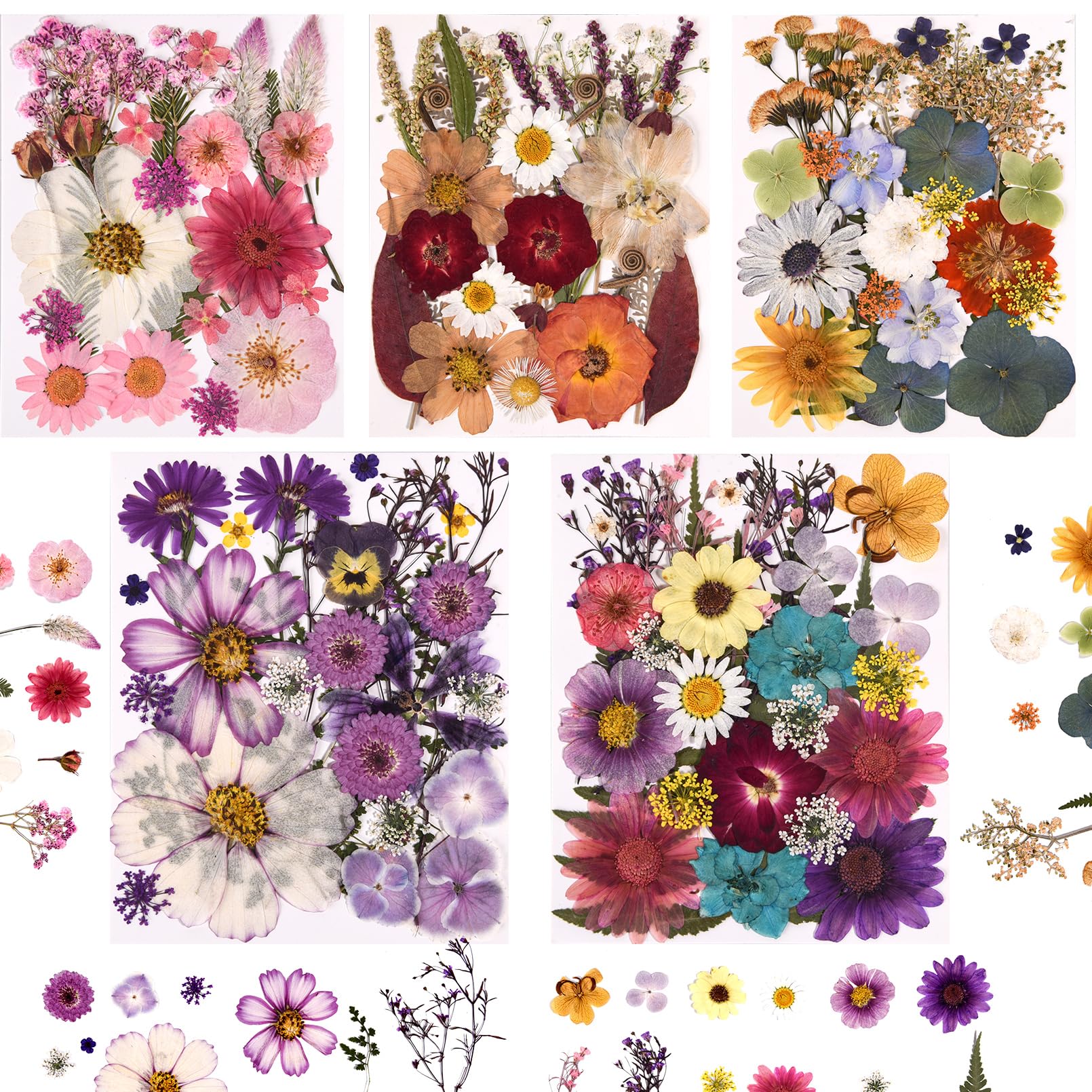 5 Packs of 140 Pressed Dried Flowers and Leaves for Resin