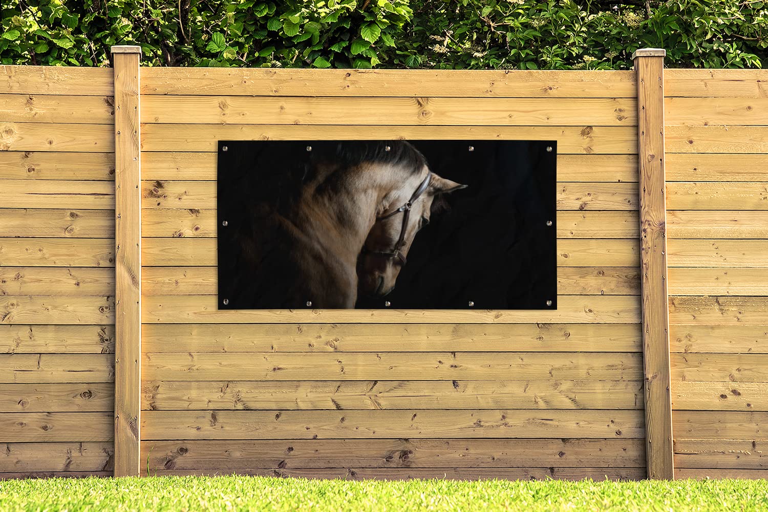 MuchoWow Outdoor-Poster Poster Wanddeko draußen Deko Garten Gartenposter 160x80 cm Pferde - Halfter - Schwarz