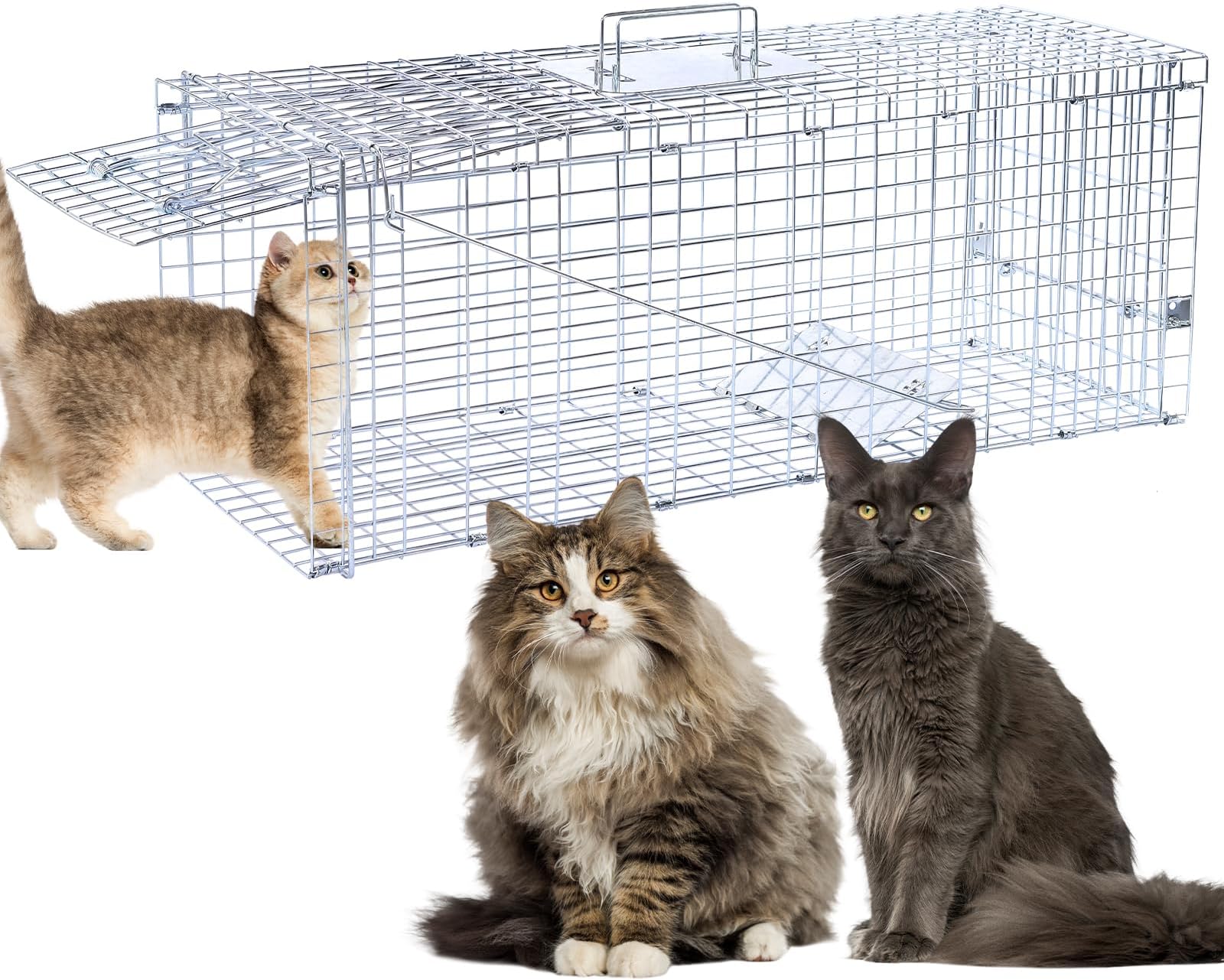 Amazon.com : Tru Catch 30LTD Humane Live Animal Trap - Easy & Safe ...