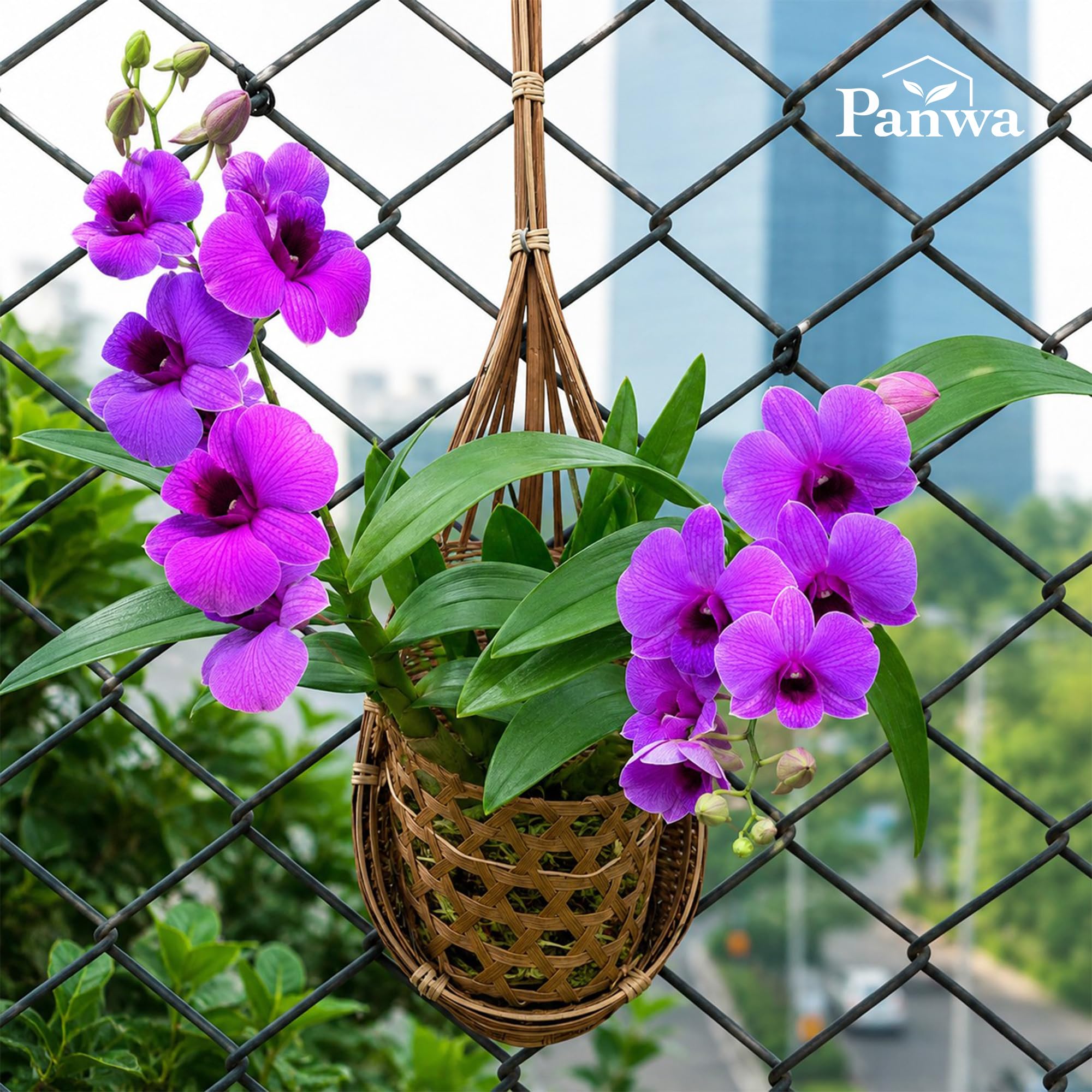 Ręcznie robiony, 100% tajski bambus, tkany, 10 cm, wiszący kosz na orchideę, zestaw 3 wielofunkcyjnych wieszaków na rośliny do pawilonu, do użytku wewnątrz i na zewnątrz (naturalny brąz)