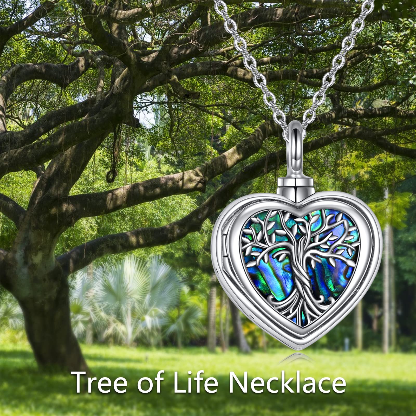 YAFEINI Baum des Lebens Urne Halsketten für Asche Sterling Silber Abalone Muschel Baum des Lebens Feuerbestattung Schmuck für Asche Gedächtnisschmuck für Frauen Männer