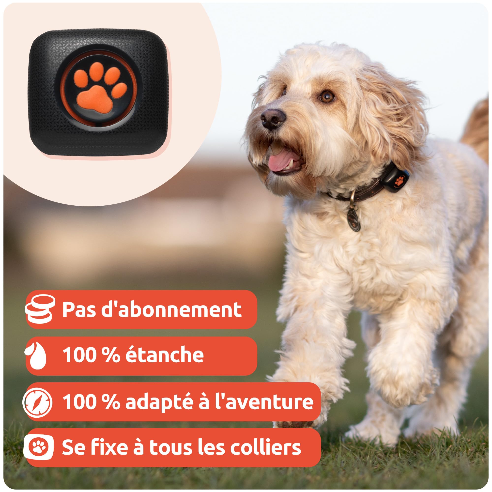 PitPat 2 - Moniteur d'Activité Chien