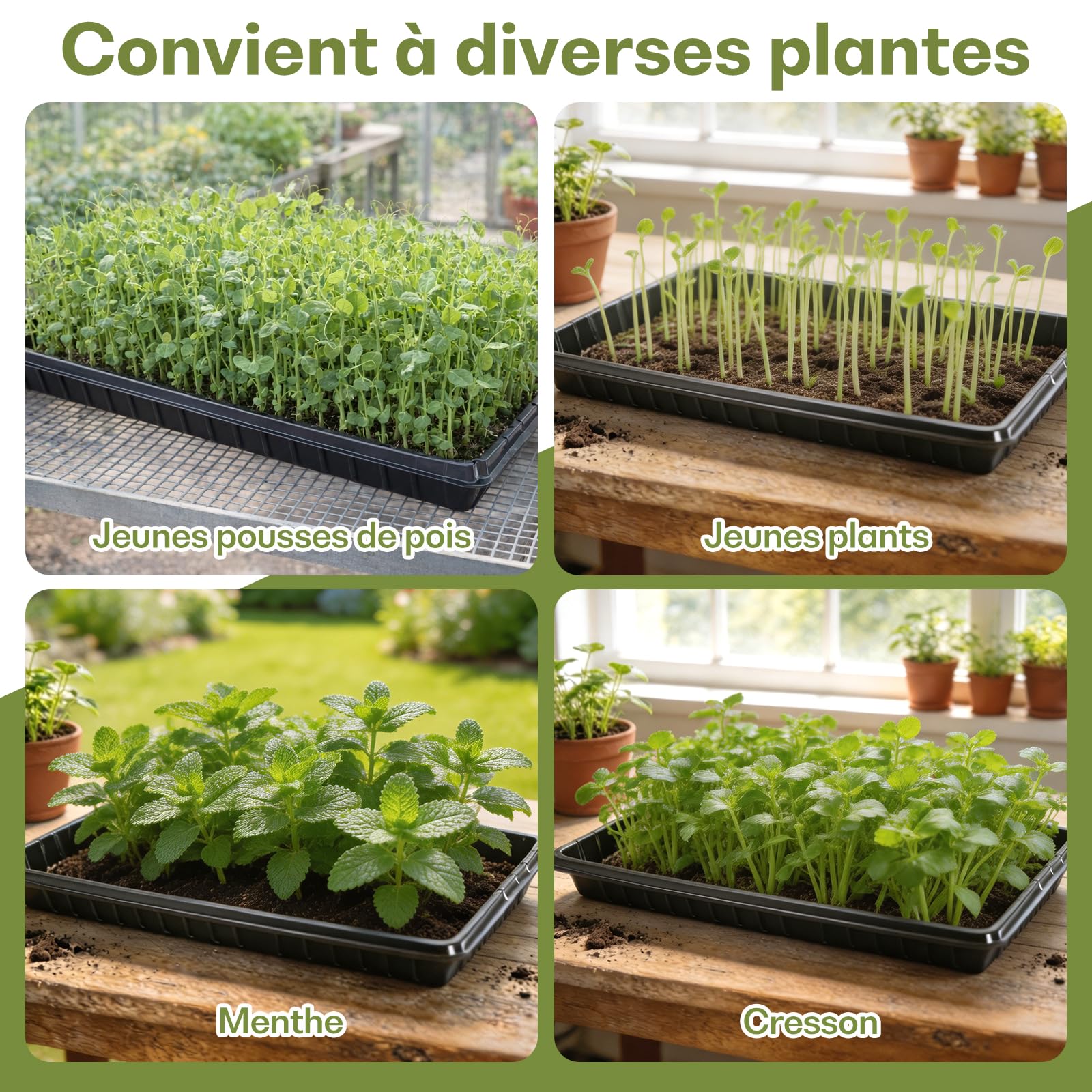 Lot de 10 Plateaux de Semis Réutilisables pour Pépinière, Bac pour Semis, Plateau de Germination, Plateaux de Culture de Graines, Plateaux de Semis de Jardinage et Intérieur, sans Trou