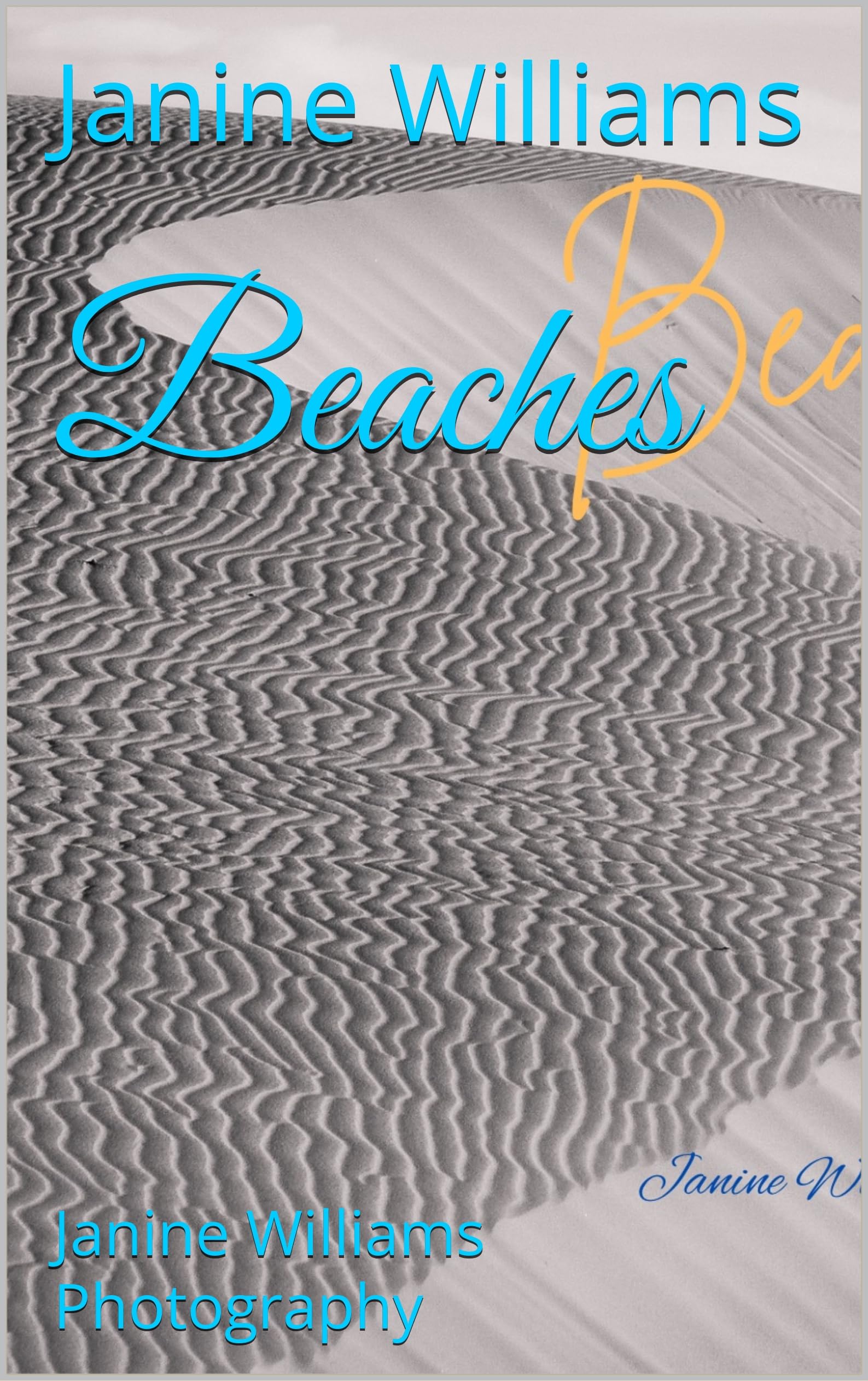 Beaches Janine Williams Photography album d'art relié d'une élégance rare