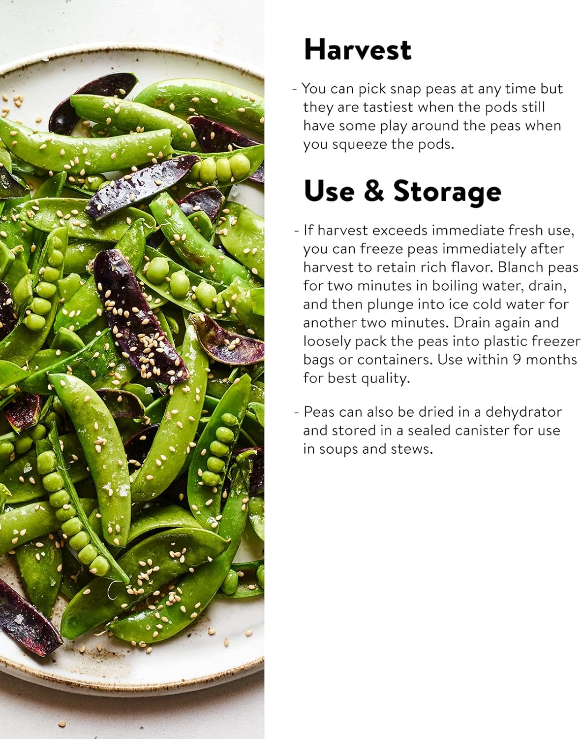 Burpee Sugar Snap Pea Seeds 300 seeds