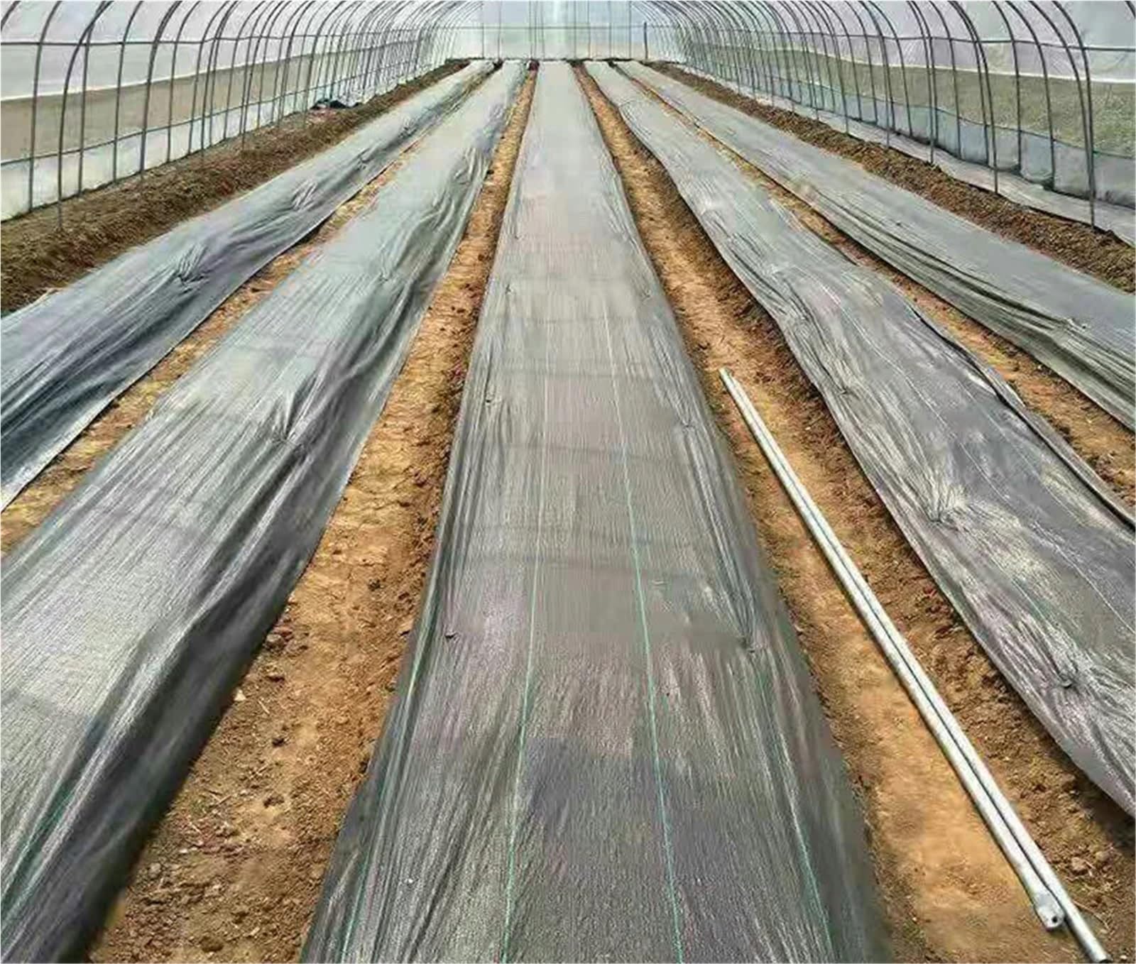 Membrana Antihierba Membrana Forrada Resistente del Control de malezas de la Membrana de la Cubierta del Suelo de paisajismo de la Tela del Control de malezas para Jardín，Patios(2x10m)