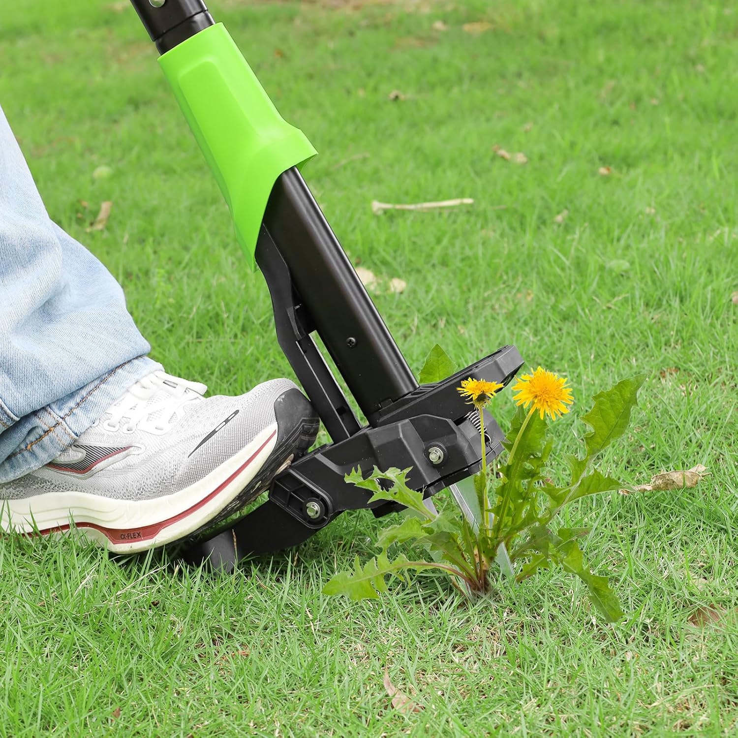 A person's foot pressing down on the footrest of the DEWINNER weed puller, driving its claws into the ground around a dandelion.