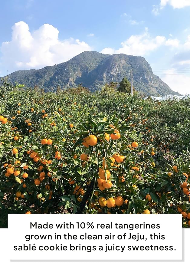 Galletas JEKISS Jeju Mandarin Sable Sand Cookies 180g miniatura 4