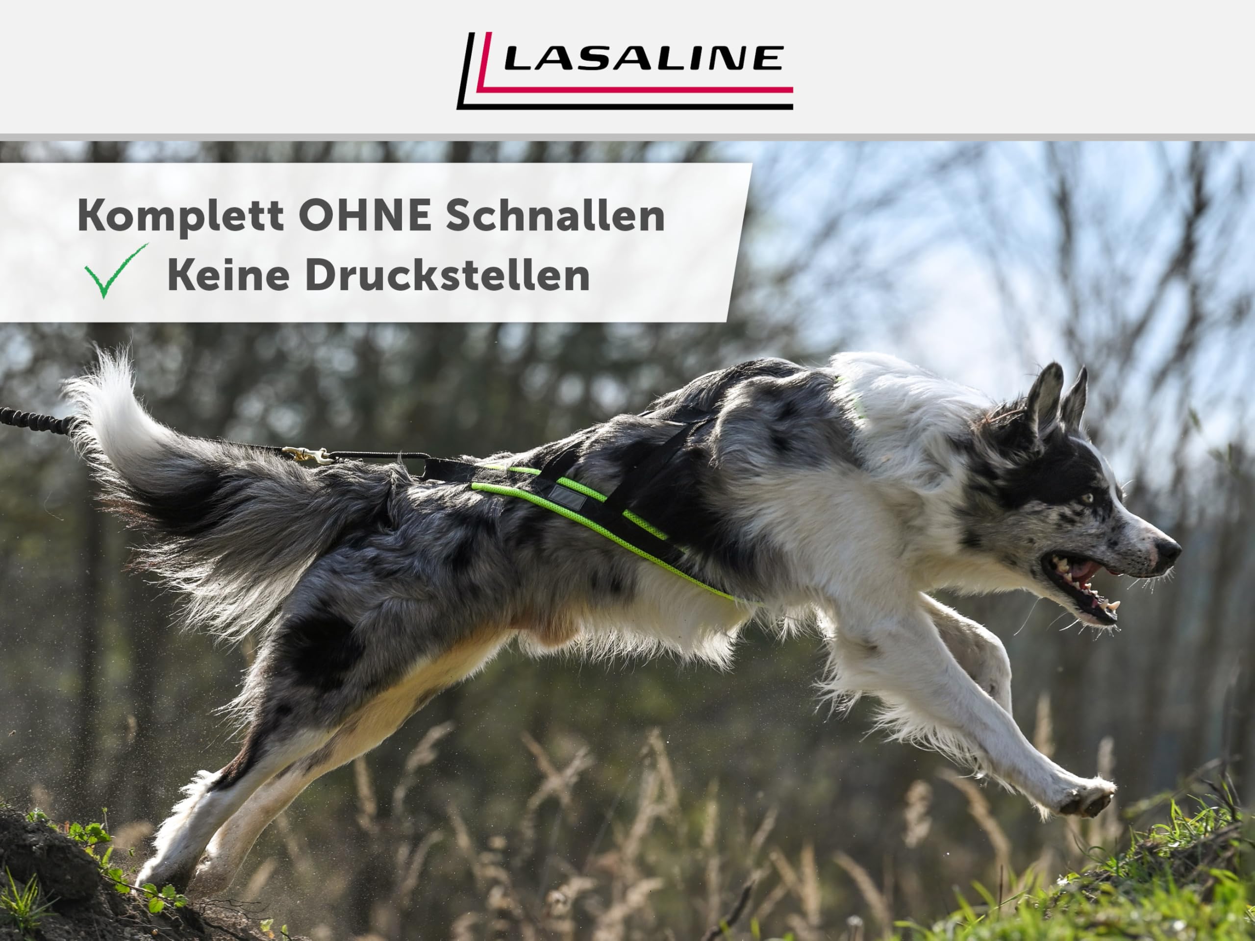 Hunde Zuggeschirr X Back für Canicross Hundesport Dogscooter Bikejöring Schlitten in Schwarz