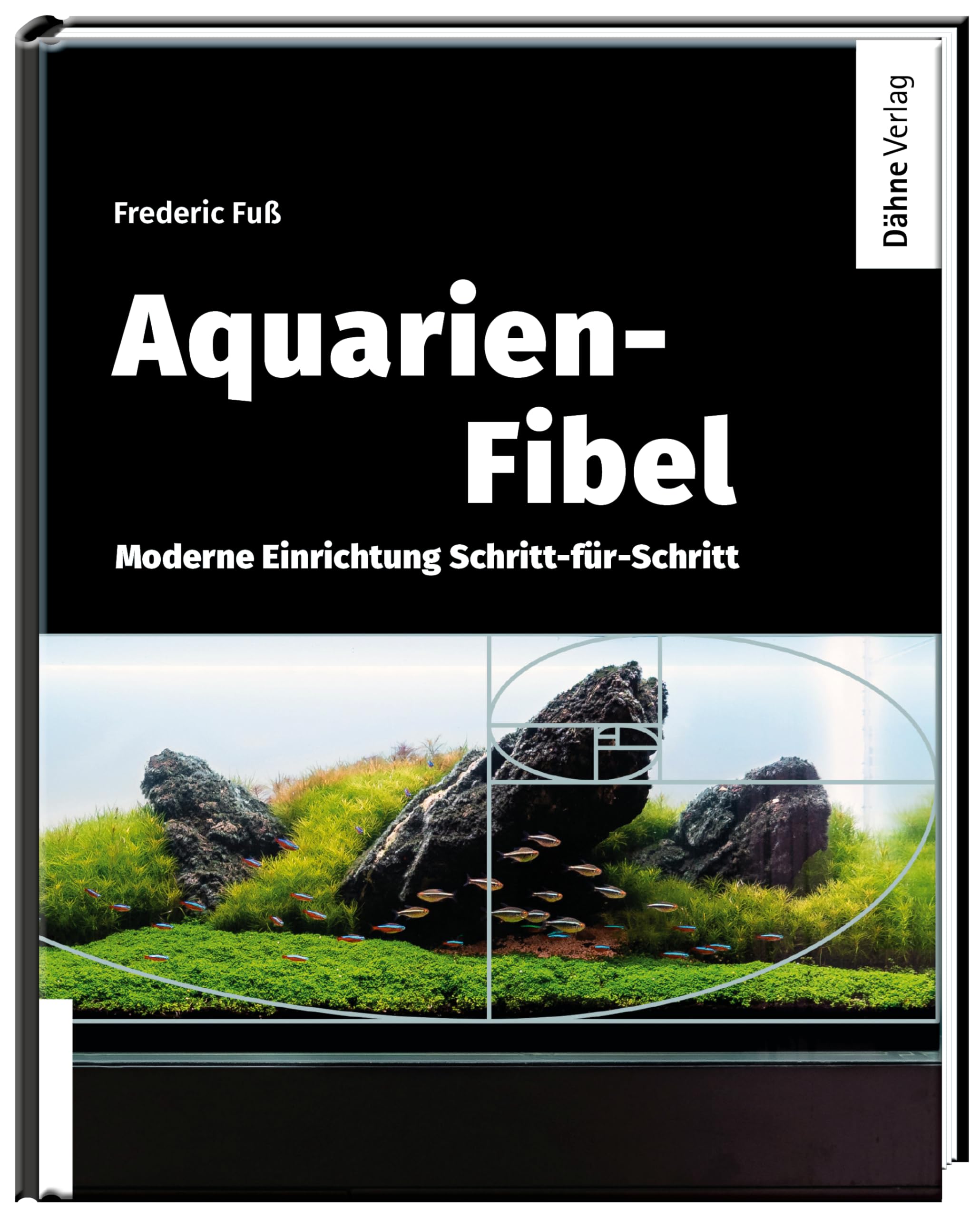 Aquarien-Fibel: Moderne Einrichtung Schritt-für-Schritt