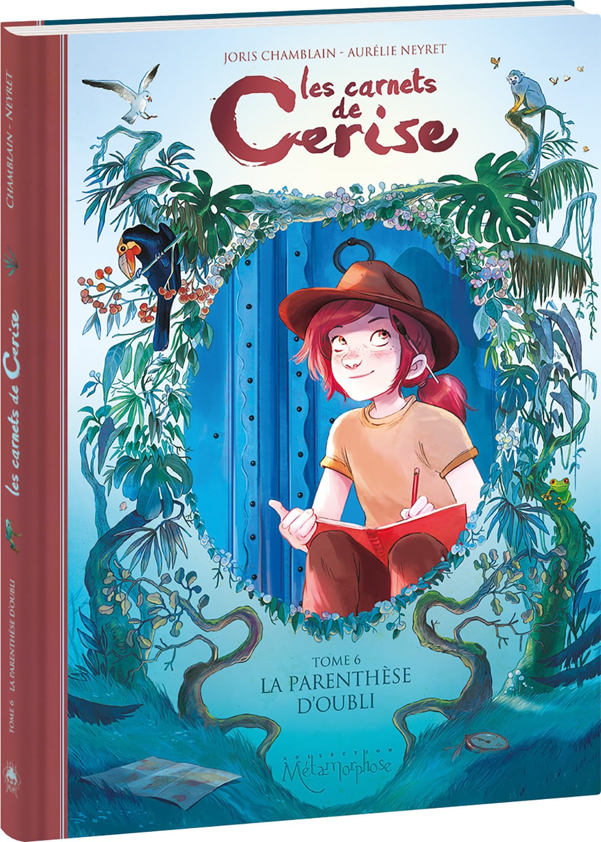 Les Carnets de Cerise - Tome 6: La Parenthèse d'oubli