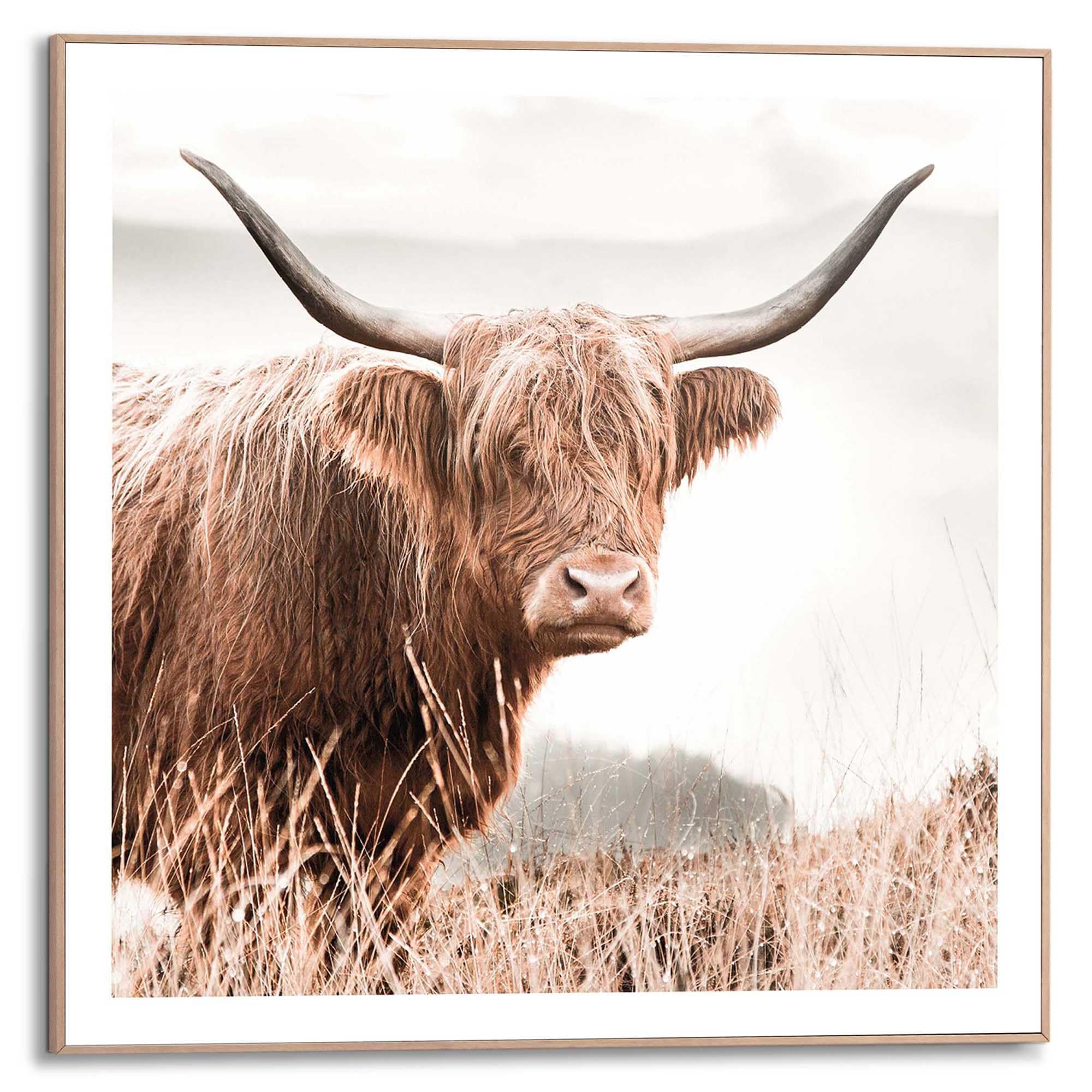 REINDERS Highlander – Gerahmtes Bild, 50x50 cm, MDF, Braun (Rahmen fest, ohne Scheibe)