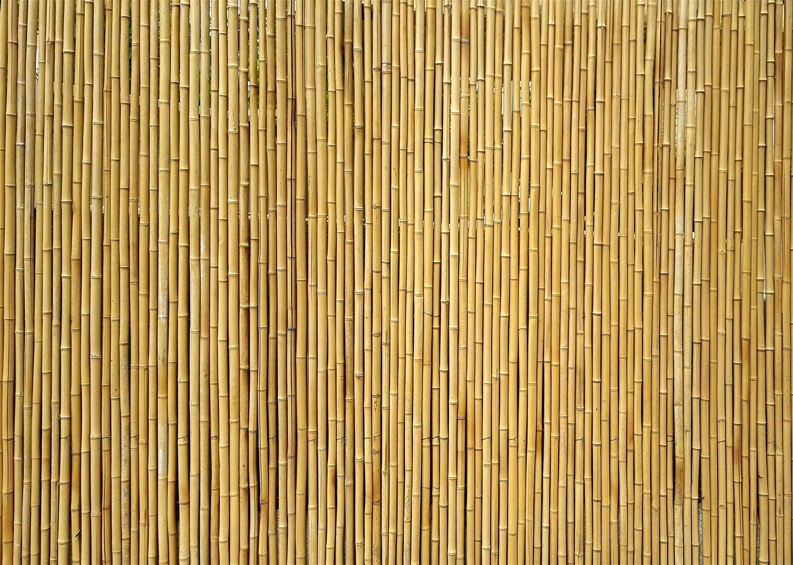 3 x 2,4 m Bamboo Mat Sfondo Hawaiano Spiaggia Fondale Canne di Bambù Aloha Luau Tiki Bar Decor Fotografia Sfondo Recinzione Bambù Fondale Photo Booth
