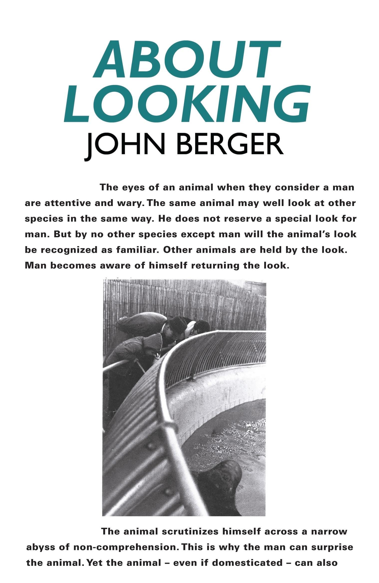 About Looking by John Berger (Paperback Book)